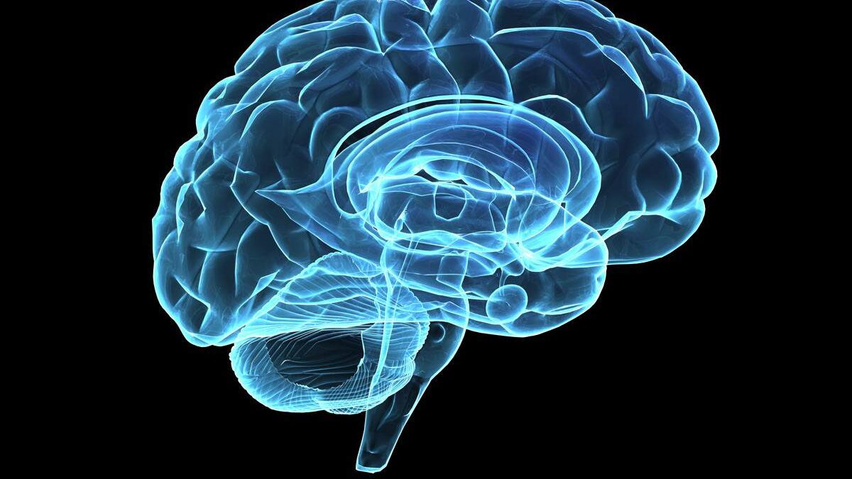 The 10 Most Common Brain Diseases